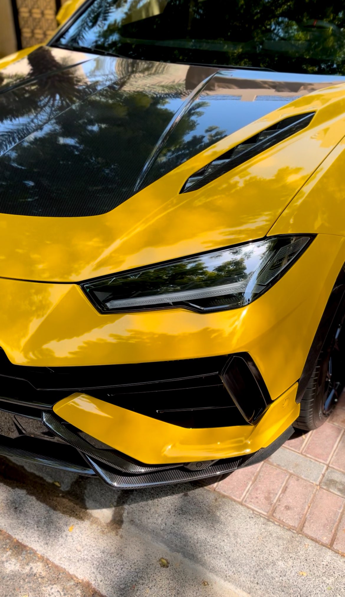 Polishing & Correction